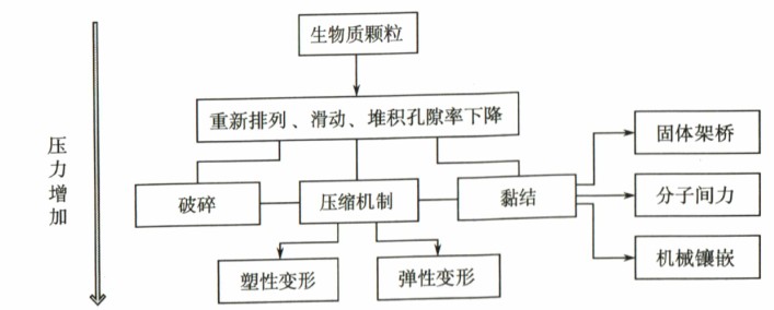 生物質(zhì)成型過程中作用力的形成過程及機制 生物質(zhì)成型過程中作用力的形成過程及機制