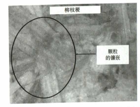 柳枝壓制成生物質(zhì)顆粒燃料光學顯微照片 柳枝壓制成生物質(zhì)顆粒燃料光學顯微照片