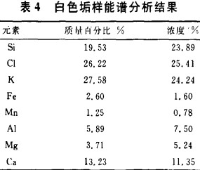 生物質(zhì)鍋爐 生物質(zhì)鍋爐