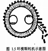 顆粒機制粒機 顆粒機制粒機